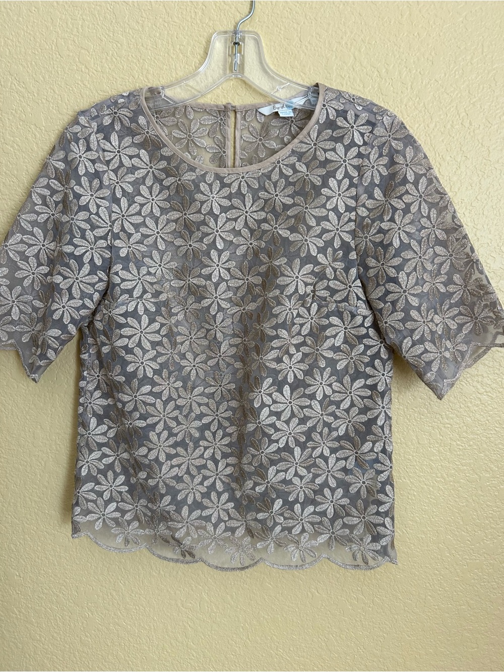 Boden Short Sleeve Metallic Organza Top